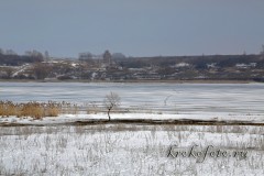 весенние пейзажи 54