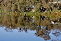 Ясная Поляна 56