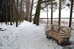 Ясная Поляна 58
