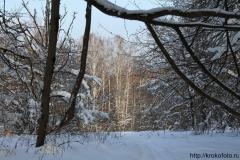 зимние пейзажи 7