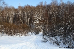 зимние пейзажи 11