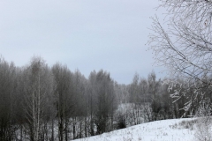 зимние пейзажи 22