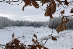 зимние пейзажи 25
