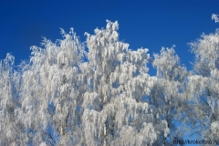 зимние пейзажи 29