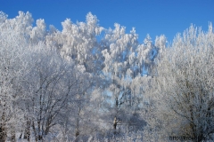 зимние пейзажи 35