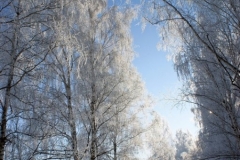 зимние пейзажи 47