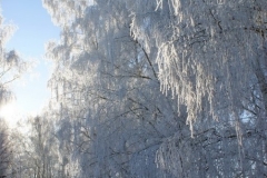 зимние пейзажи 48