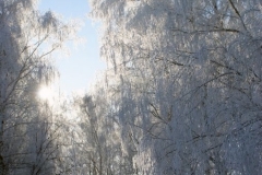 зимние пейзажи 50