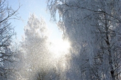 зимние пейзажи 52