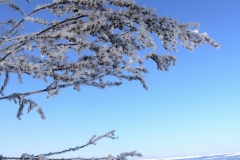 зимние пейзажи 56