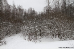 зимние пейзажи 63